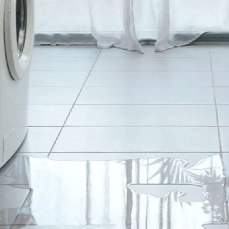 Appliance Leak Cleanup in Whitefish, MT